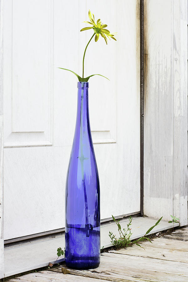 Sunflower In A Blue Bottle Photograph by Sue Capuano