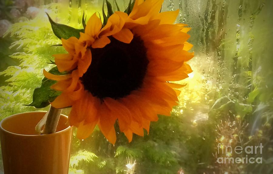 Sunflower In A Yellow Vase Photograph