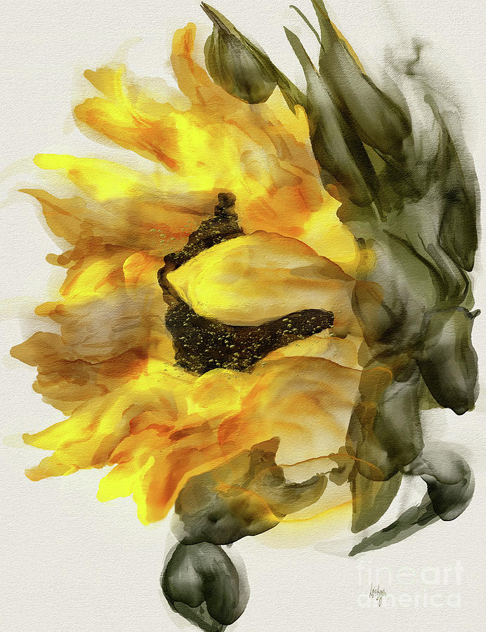 Sunflower In Profile Digital Art by Lois Bryan