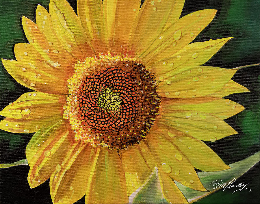 Sunflower in the Morning Painting by Bill Dunkley