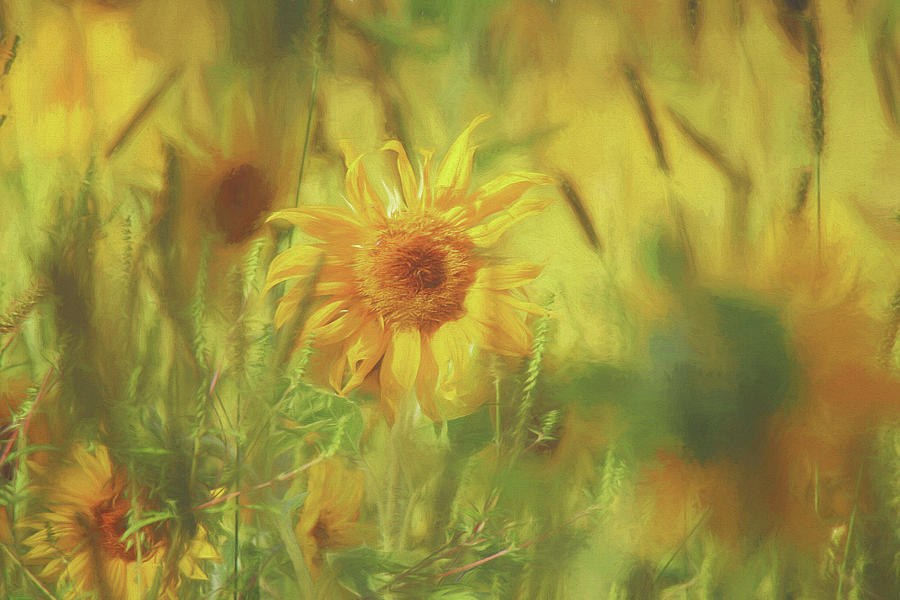 Sunflower in the Wind Painting Photograph by Carrie Ann Grippo-Pike