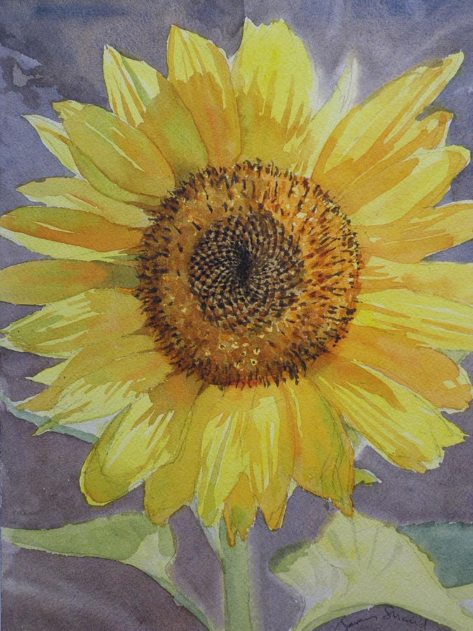 Sunflower Painting by James Shand - Fine Art America