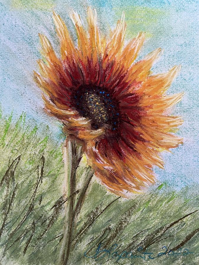 Sunflower Pastel by Jeanette Lapointe - Fine Art America