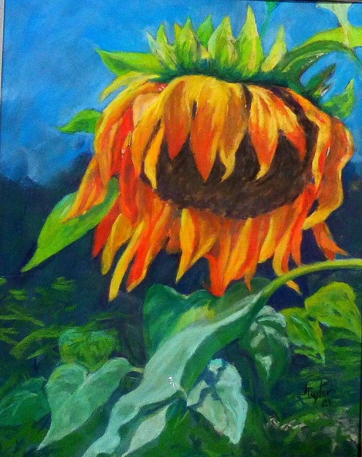 Sunflower Pastel by John Taylor - Fine Art America