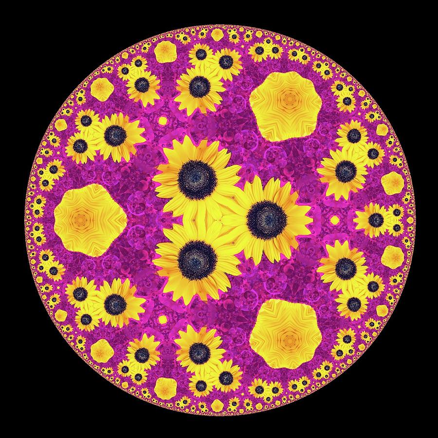 Sunflower Kaleidoscope 1 Photograph by Eileen Backman