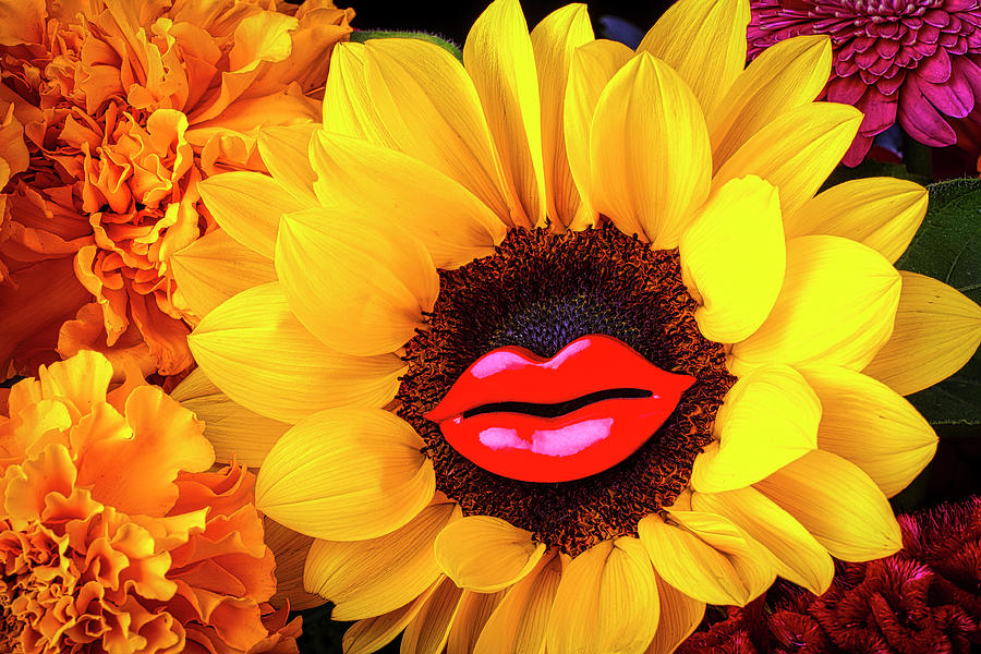 Flower Photograph - Sunflower Lips by Garry Gay