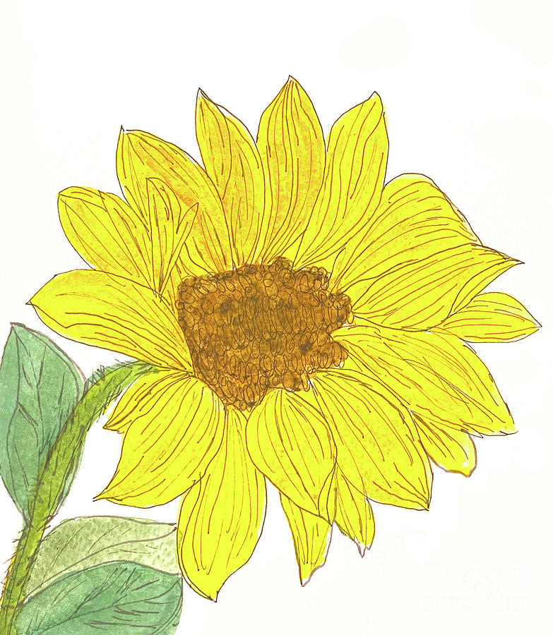 Sunflower Mixed Media by Lisa Neuman