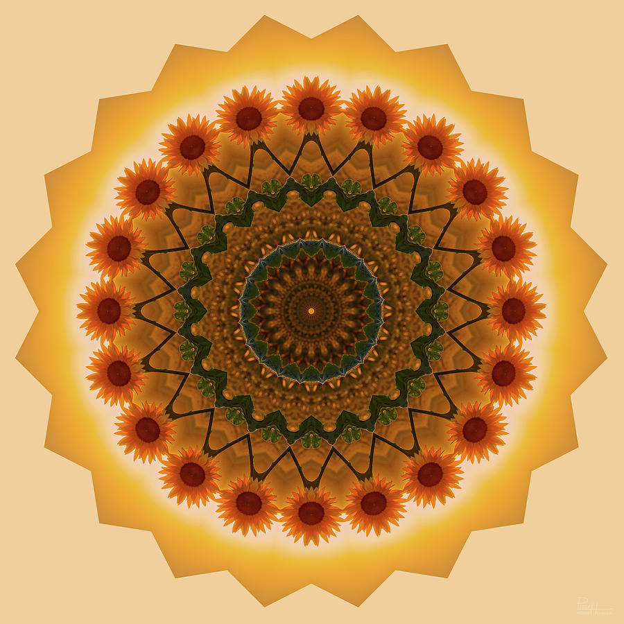 Sunflower Mandala #1 - kaleidoscopic view of sunflower Photograph by Peter Herman
