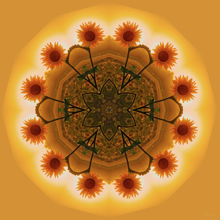Sunflower Mandala #2 - kaleidoscopic view of sunflower Photograph by Peter Herman