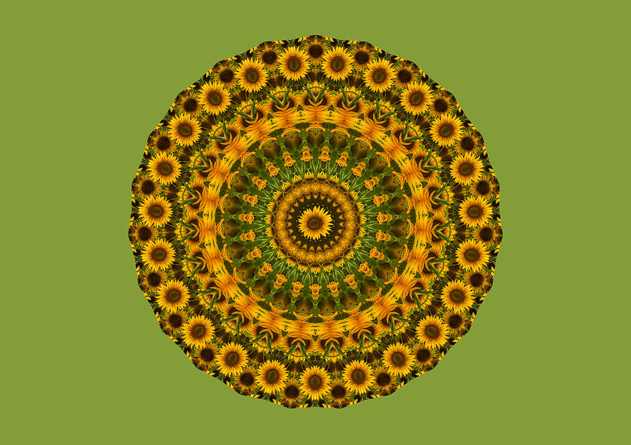 Sunflower Mandala 2 Photograph by Mark Kiver
