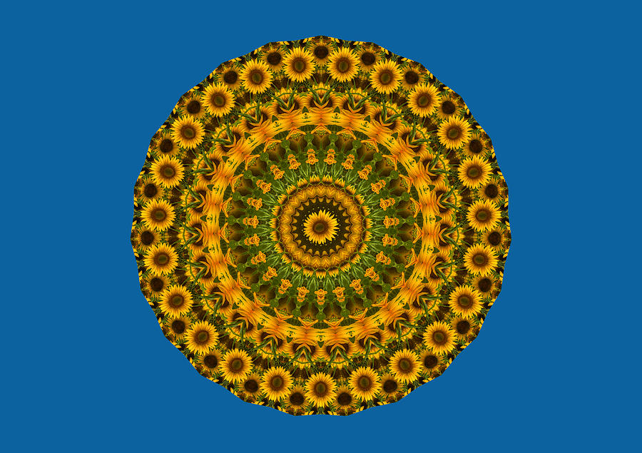 Abstract Photograph - Sunflower Mandala 3 by Mark Kiver