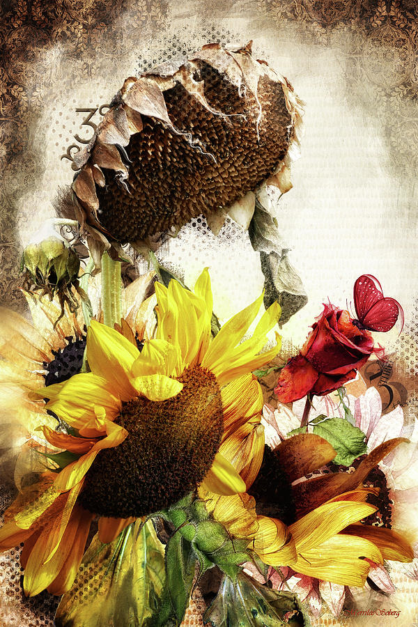 Sunflower Melange Digital Art by Merrilee Soberg