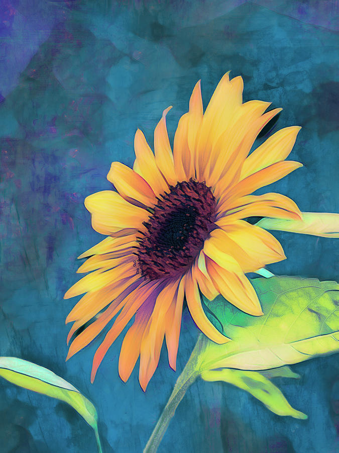 Sunflower On Dark Teal flower art  Digital Art by Ann Powell