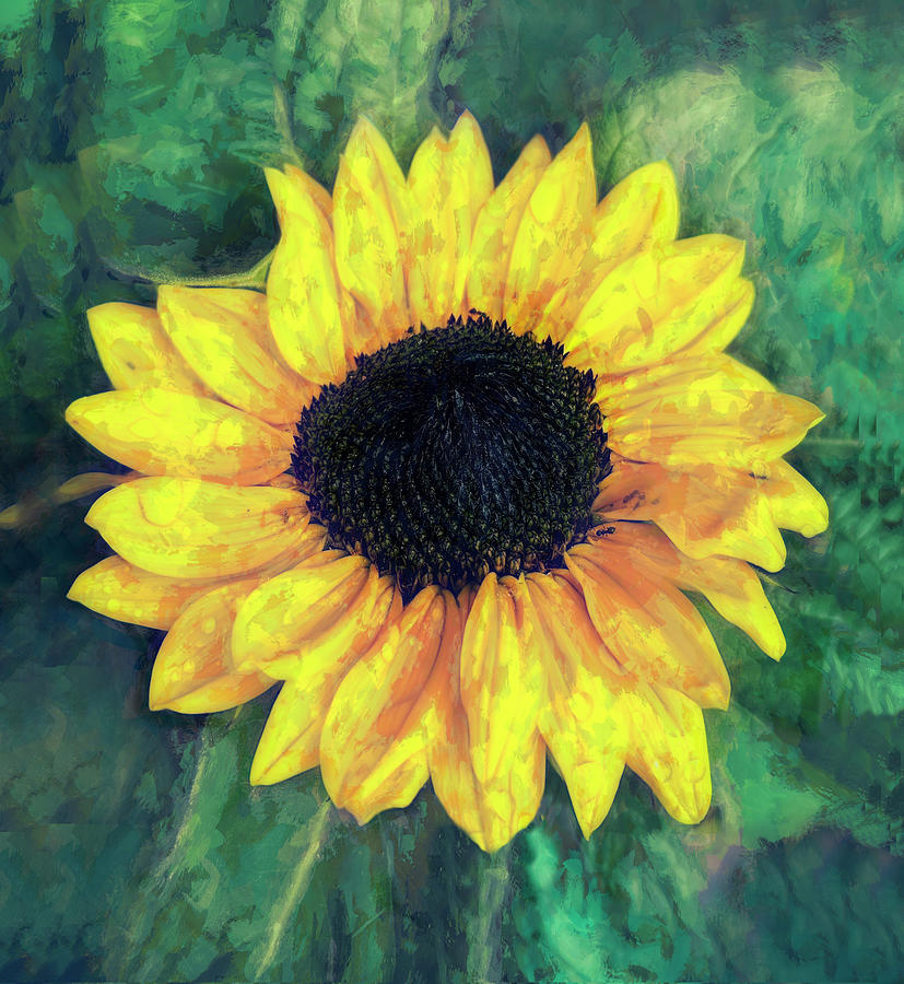 Sunflower On Green Mixed Media