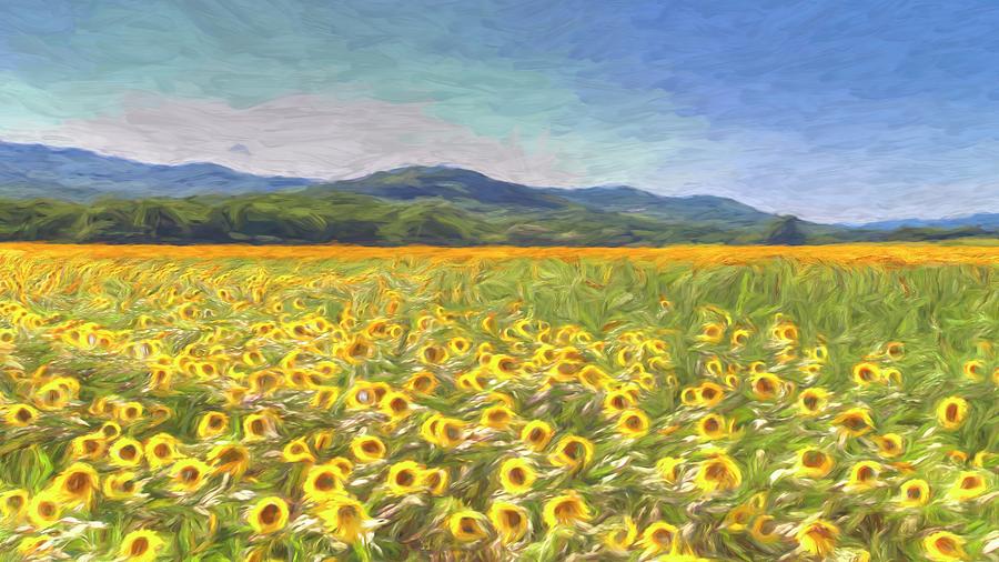 Sunflower Panorama Art Photograph