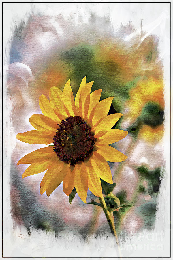 Sunflower Pose Photograph