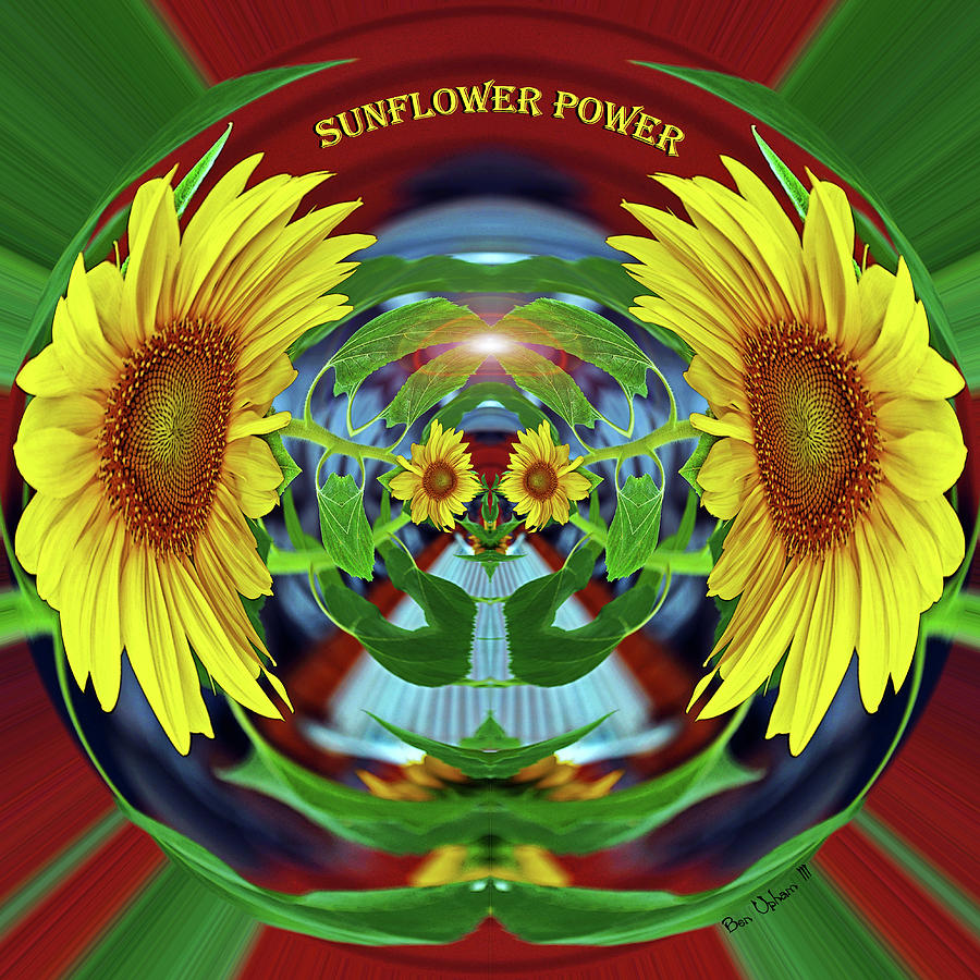 Sunflower Power Photograph by Ben Upham III