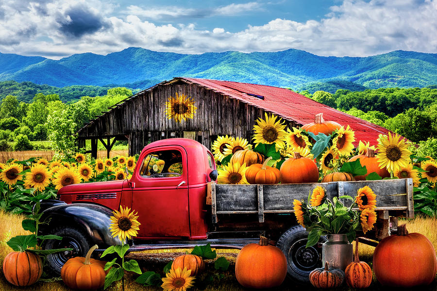 Sunflower Pumpkin Farm Truck Photograph by Debra and Dave Vanderlaan