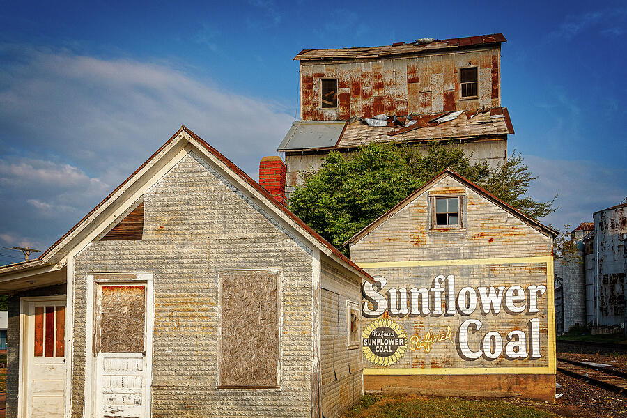 Sunflower Refined Coal Photograph by Steven Bateson - Fine Art America