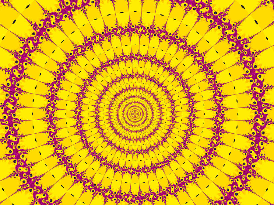 Sunflower Respiral Photograph by Eileen Backman