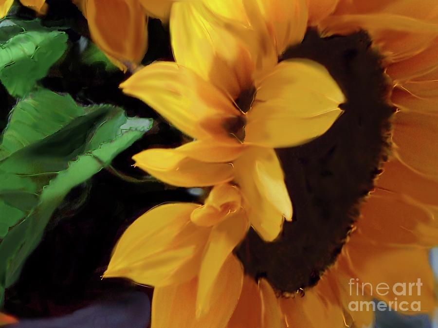 Sunflower Series 1-4 Photograph by J Doyne Miller