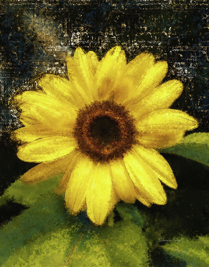 Sunflower Digital Art by Sherrie Triest
