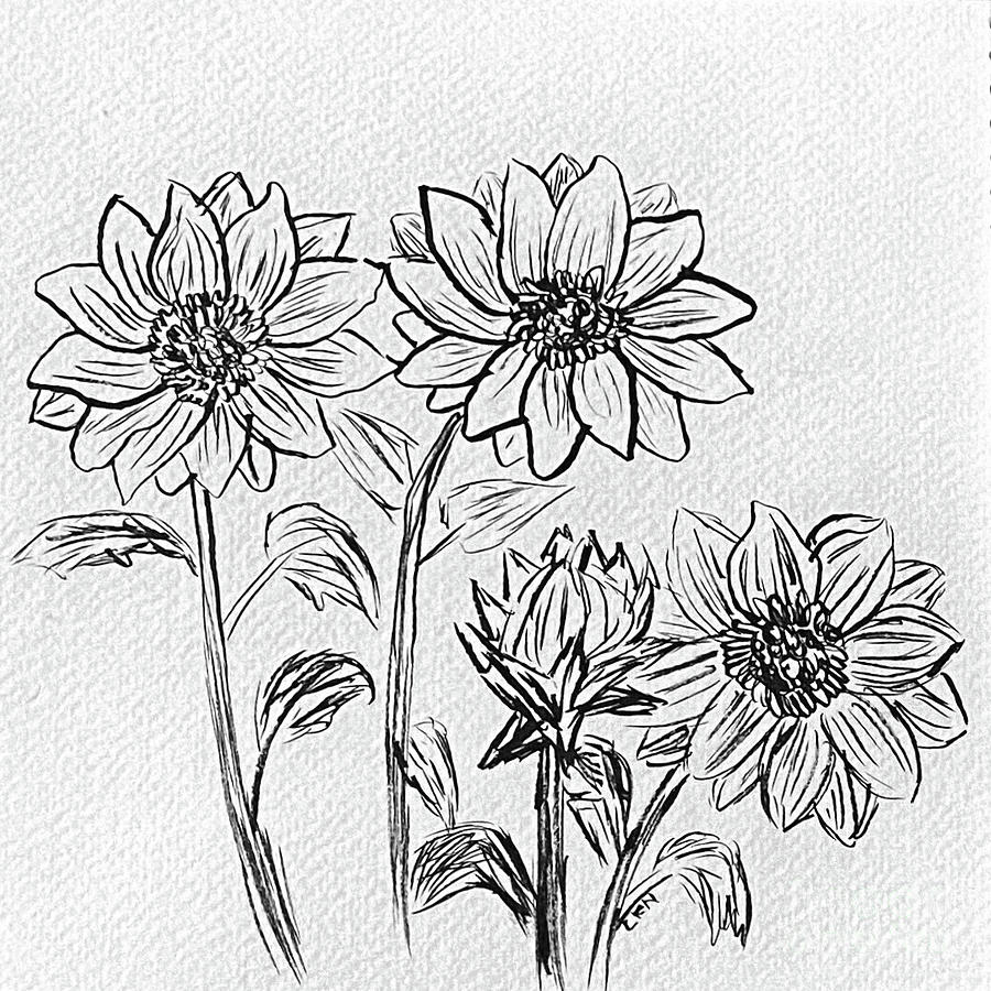 Sunflower Sketch Drawing by Lisa Neuman