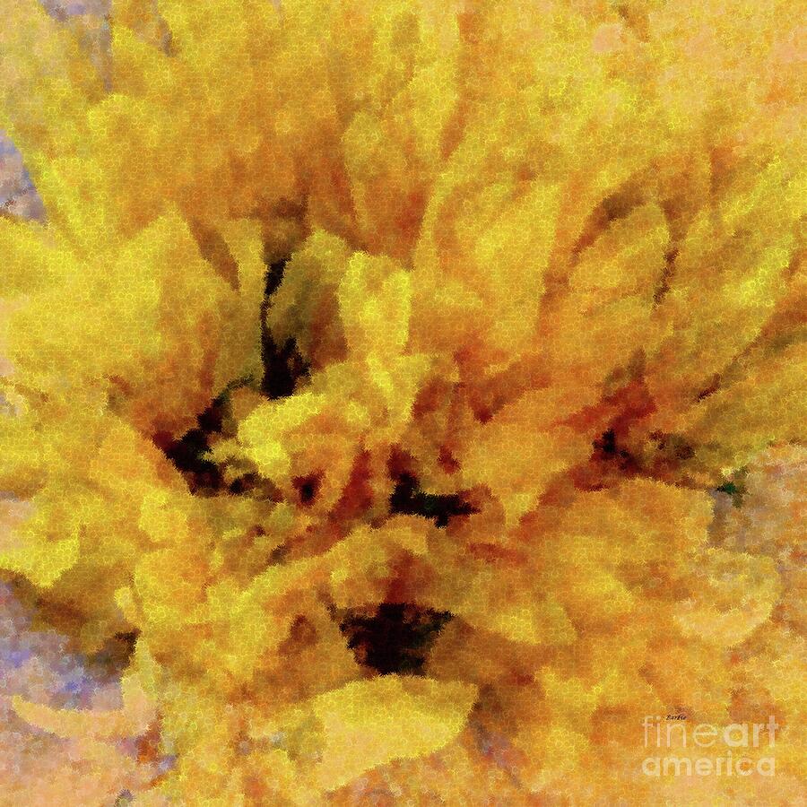 Sunflower Sonata Square Photograph
