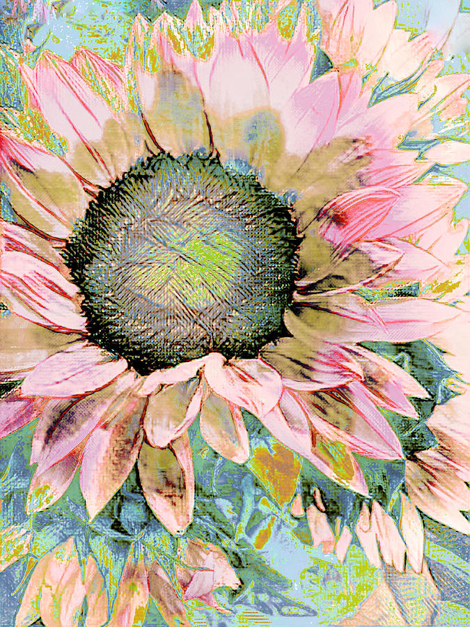 Silken Sunflower Photograph by Ali Bailey Silken Sunflower Photograph by Ali Bailey