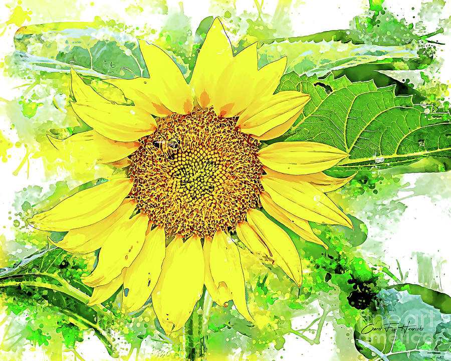 Sunflower Splash Mixed Media by Carol Fox Henrichs - Fine Art America