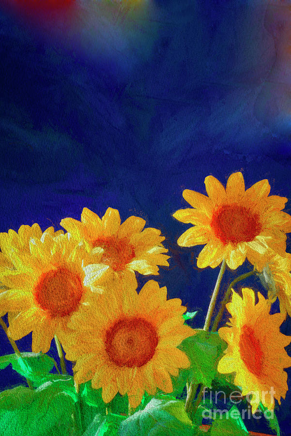 Sunflower Study Digital Art by Edmund Nagele FRPS