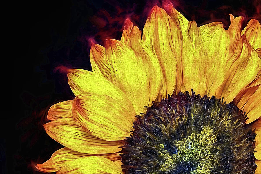 Sunflower Sunrise Digital Art by JC Findley