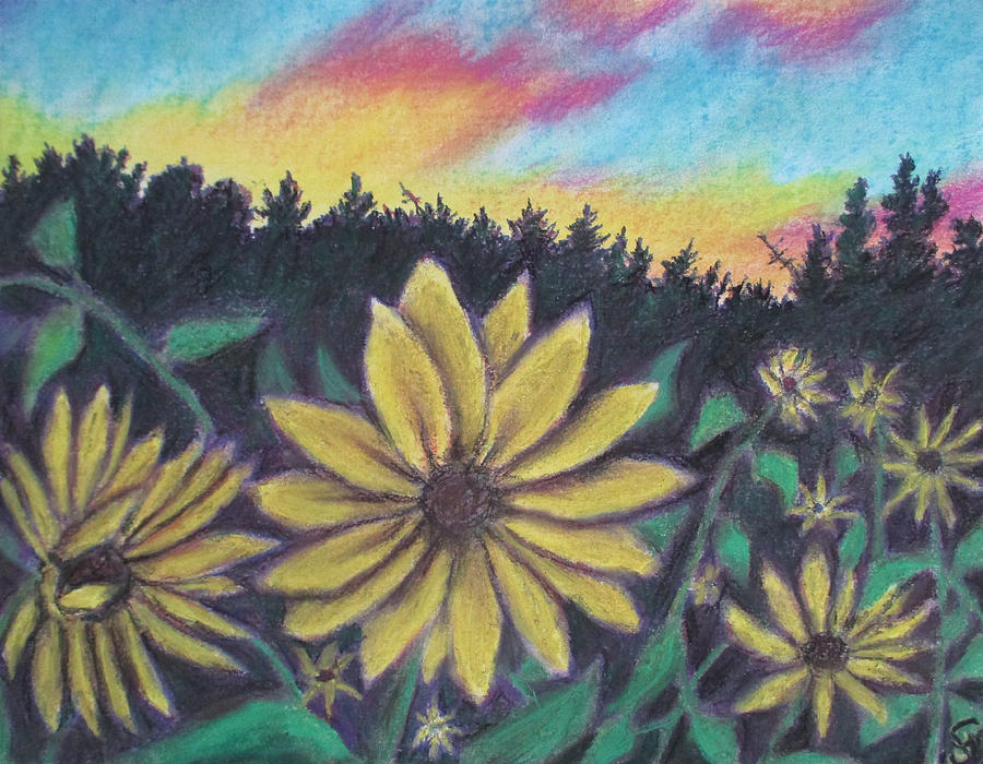 Sunflower Sunset Painting by Jen Shearer