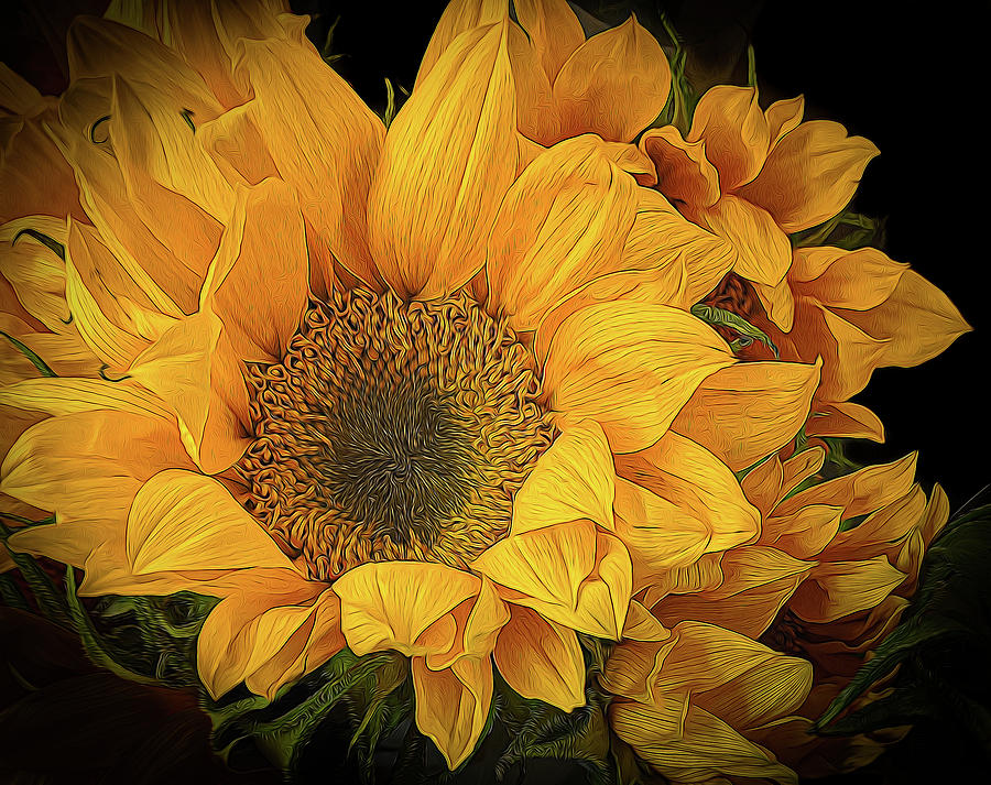 Sunflower Support Photograph by Georgette Grossman