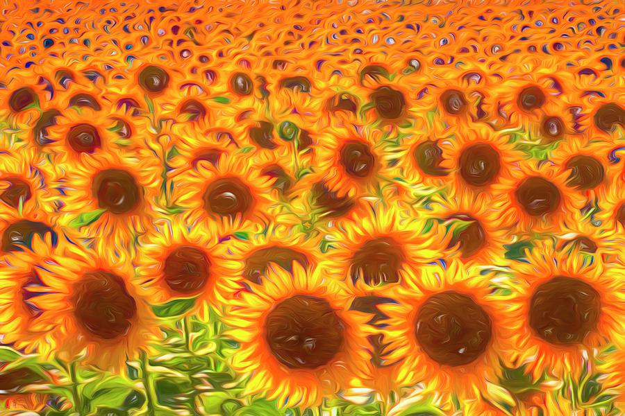 Sunflower Swirling Art Photograph