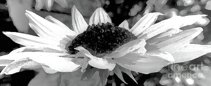 Sunflower Topsy Digital Art by Tracey Lee Cassin