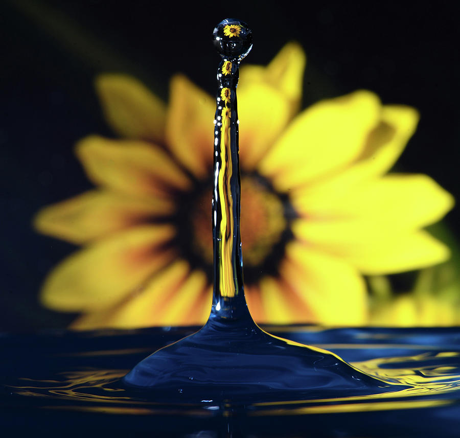 Sunflower Tower Photograph by Mark Bloom Fine Art America