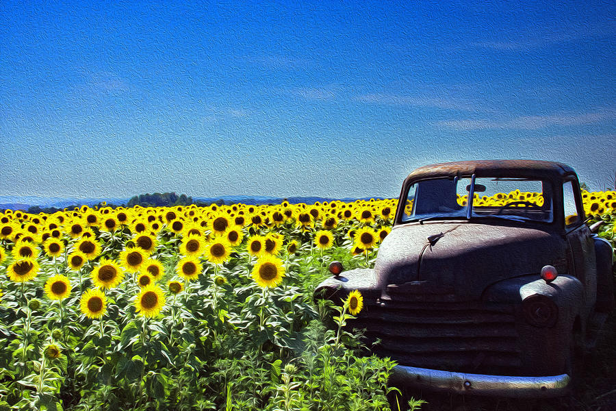 Sunflower Truck Photograph by Gary Wightman