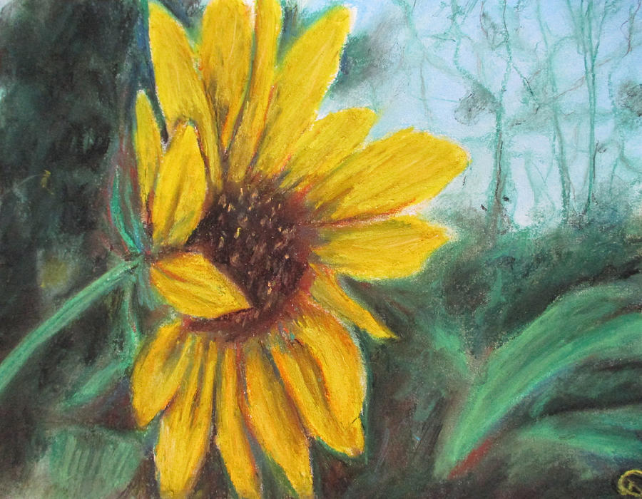 Sunflower View Painting by Jen Shearer