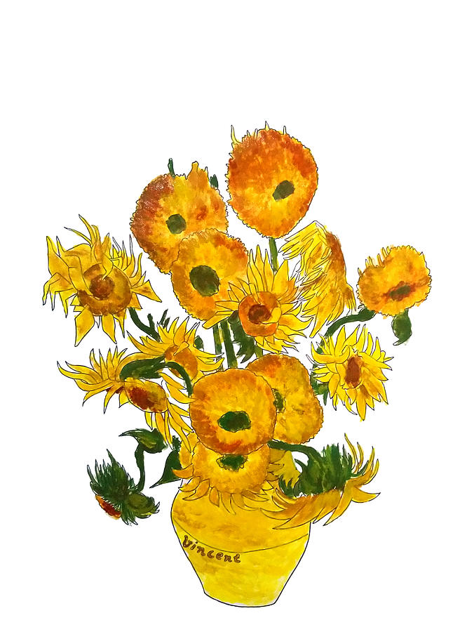 Sunflower Vincent Van Gogh No Background  Painting by Color Color