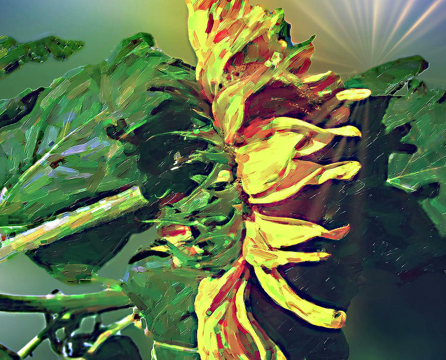 Sunflower60 Digital Art by Susan Crowell