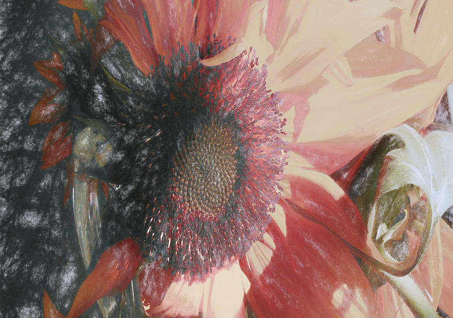 Sunflower71 Painting by Susan Crowell
