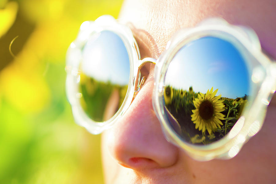 Sunflowered Glasses Photograph