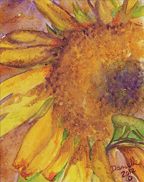 Glimpse of a Sunflower 2012 Painting by Danielle Donohue - Fine Art America