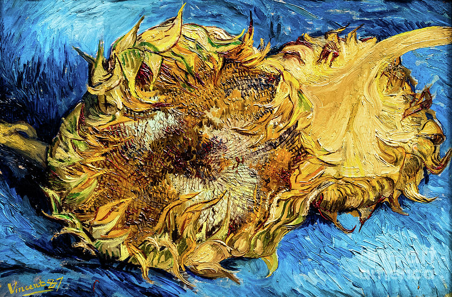 Sunflowers 1887 by Van Gogh Photograph by Vincent Van Gogh