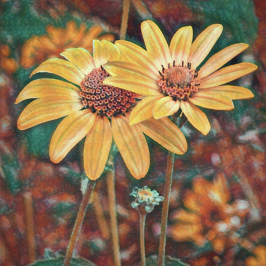 Sunflowers 2 Digital Art by Ernest Echols
