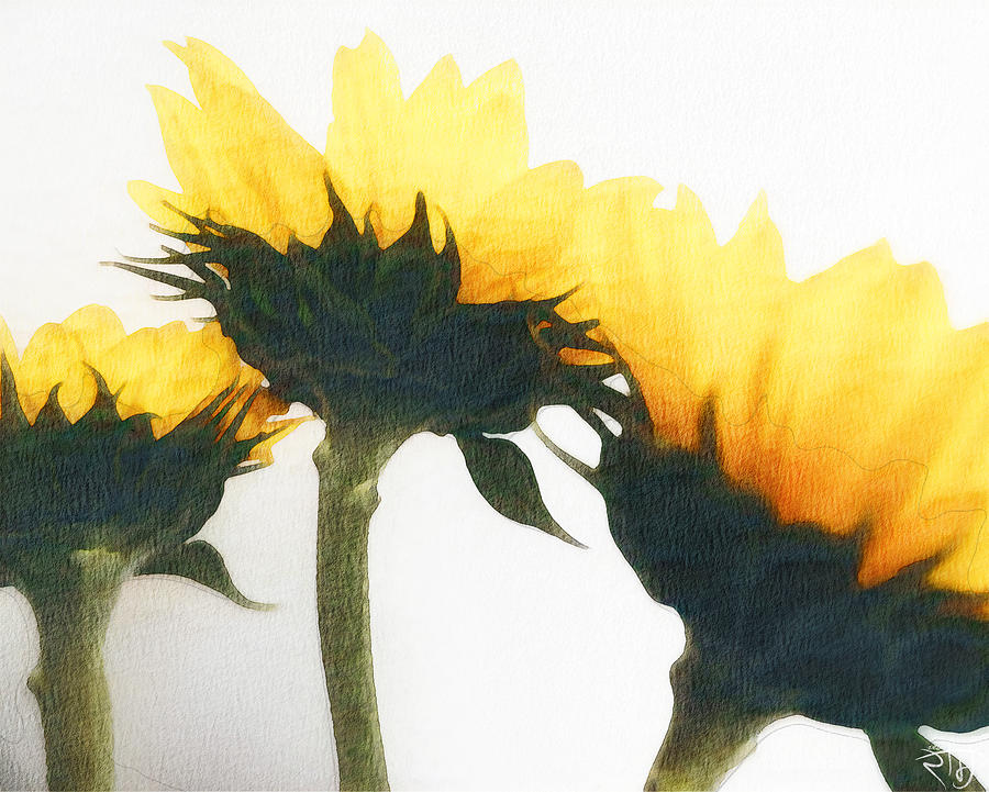 Sunflowers 2 Digital Art by Red Ram