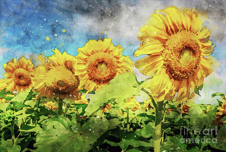 Sunflowers 9 Digital Art