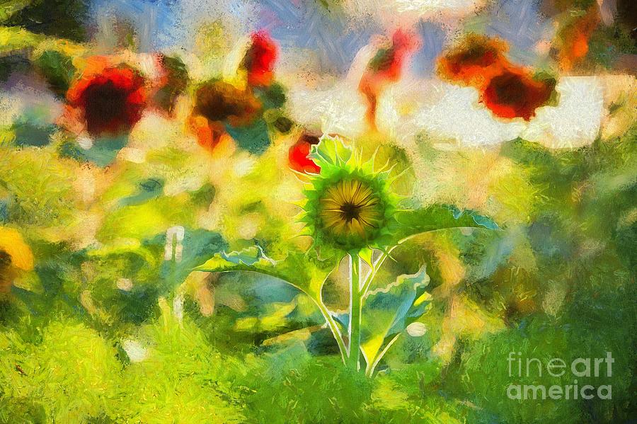 Sunflowers Abstract Photograph by Eva Lechner