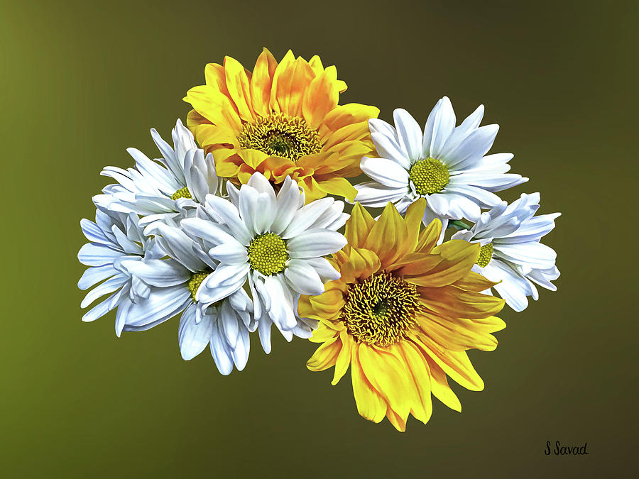 Sunflowers and Daisies Photograph by Susan Savad